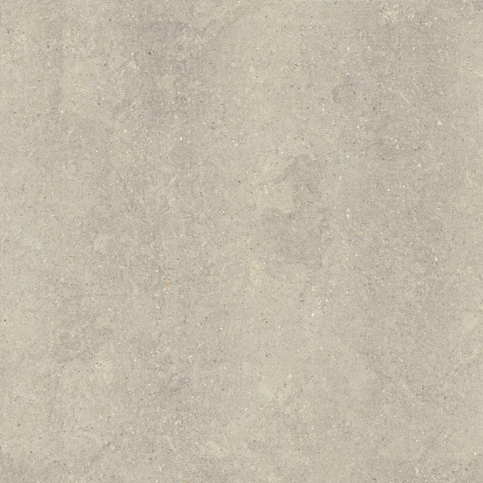 VERITAAS DARK GREY