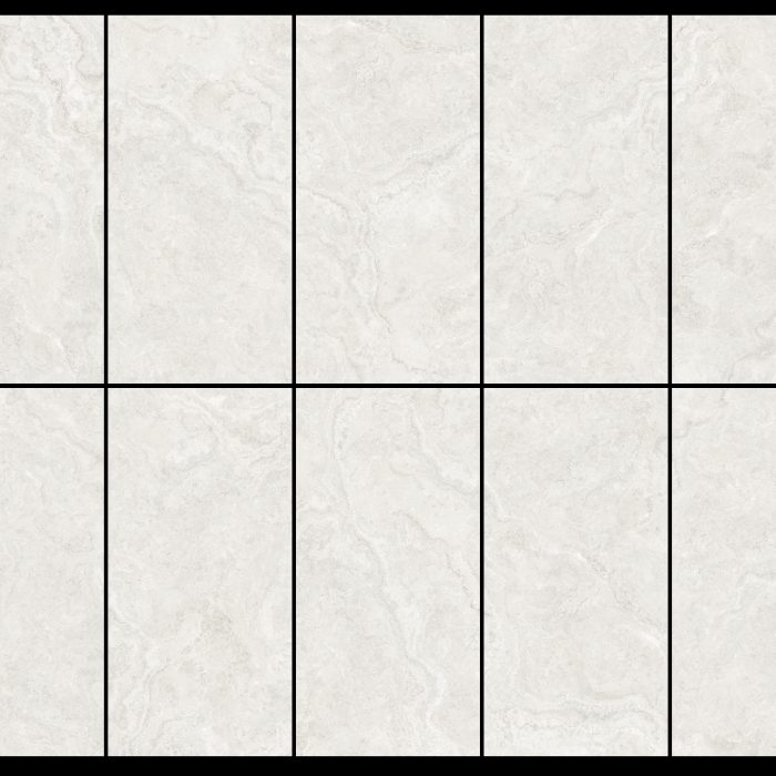 D12041